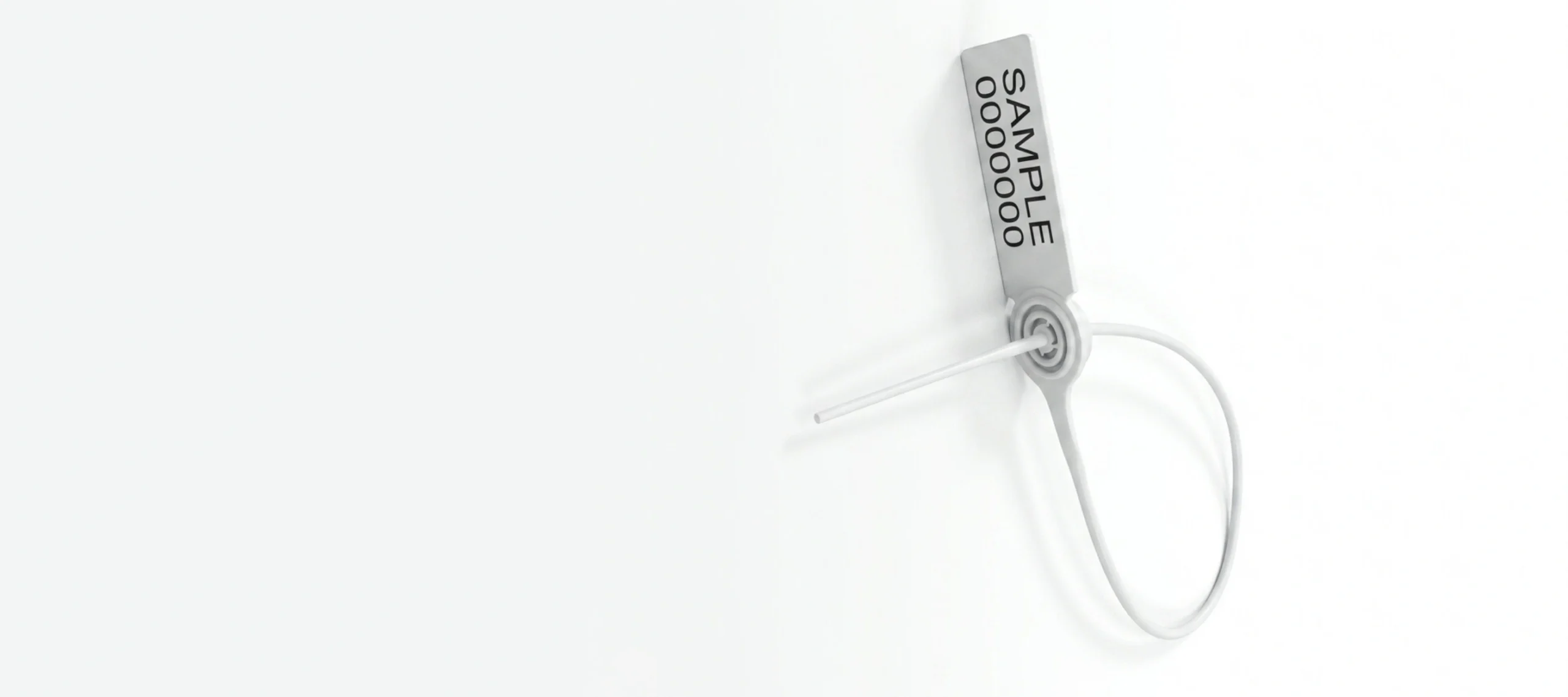 Plastic Seal Round Strip with Metal Insert Locking (PT-V)